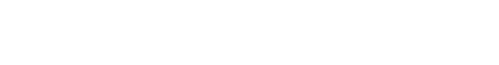 São Paulo Grand Prix
